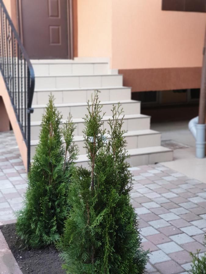 Villa Accommodation 부쿠레슈티 외부 사진