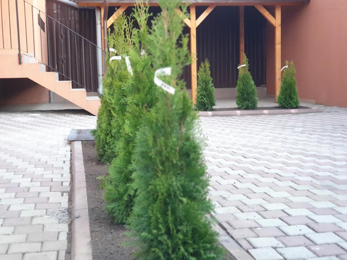 Villa Accommodation 부쿠레슈티 외부 사진