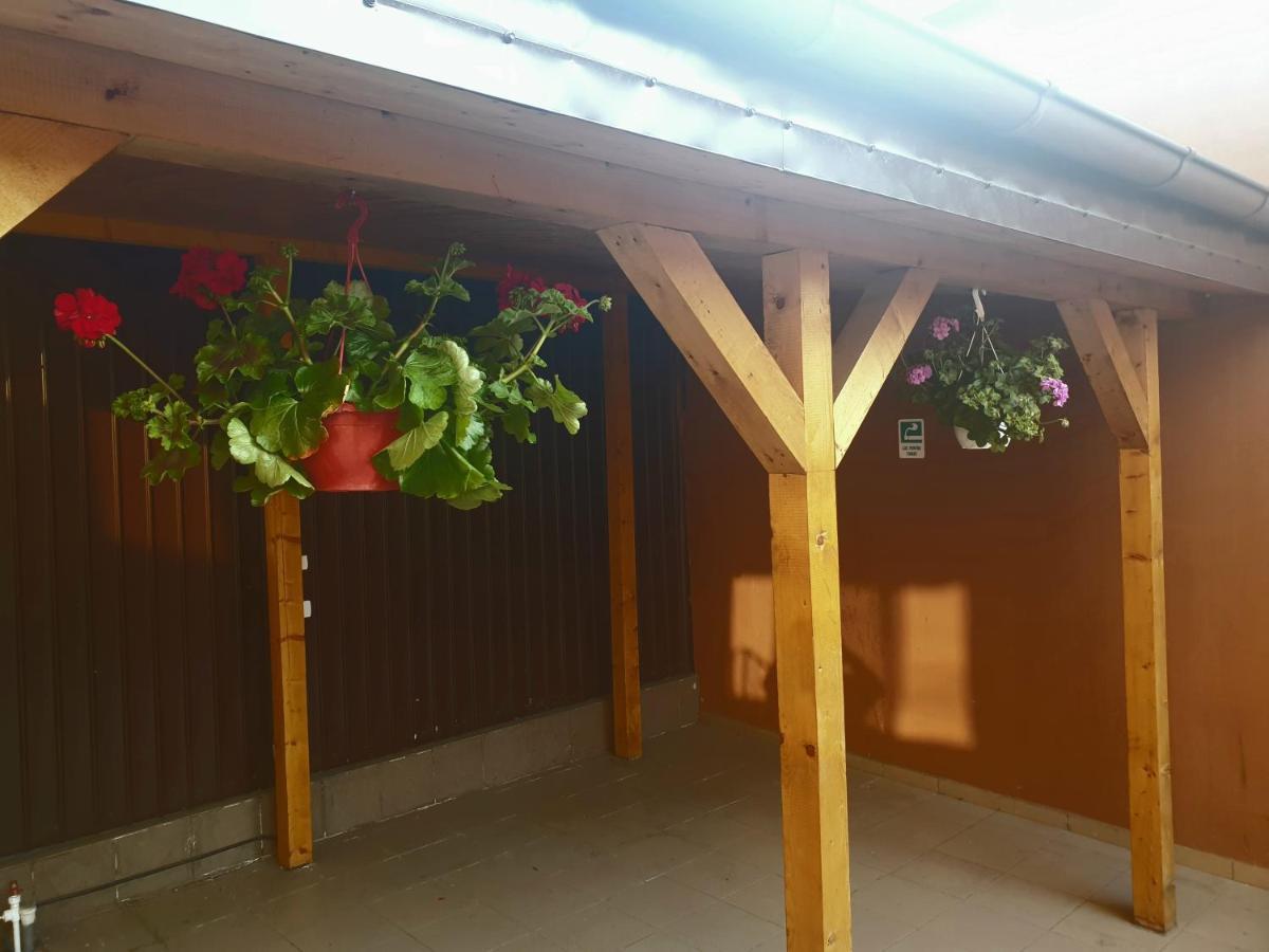 Villa Accommodation 부쿠레슈티 외부 사진